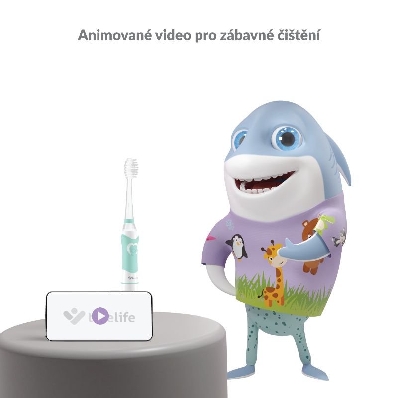 Obrázek